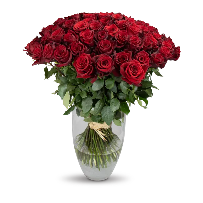 bouquet of Ecuadorian roses 80cm